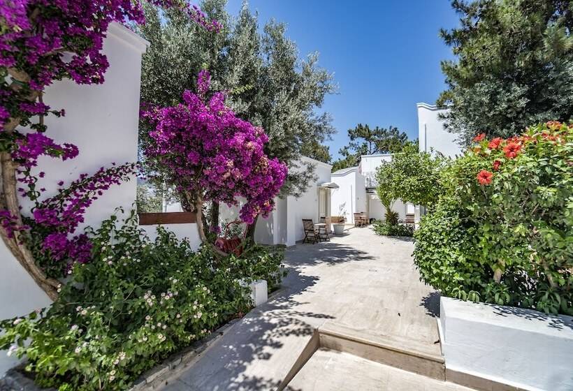 Номер Superior, Manzara Boutique Hotel   Adults Only