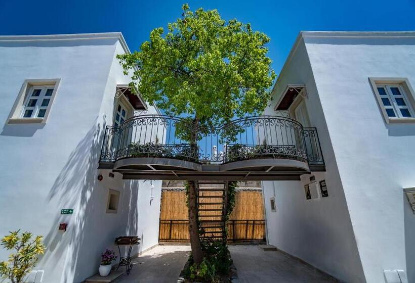 Номер Deluxe, Manzara Boutique Hotel   Adults Only