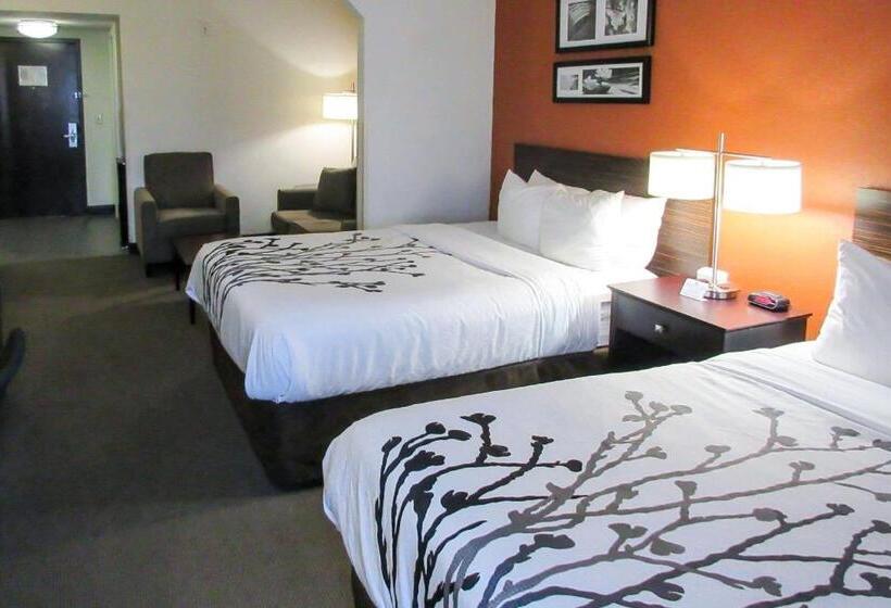Люкс, Sleep Inn & Suites Ft. Lauderdale International Airport