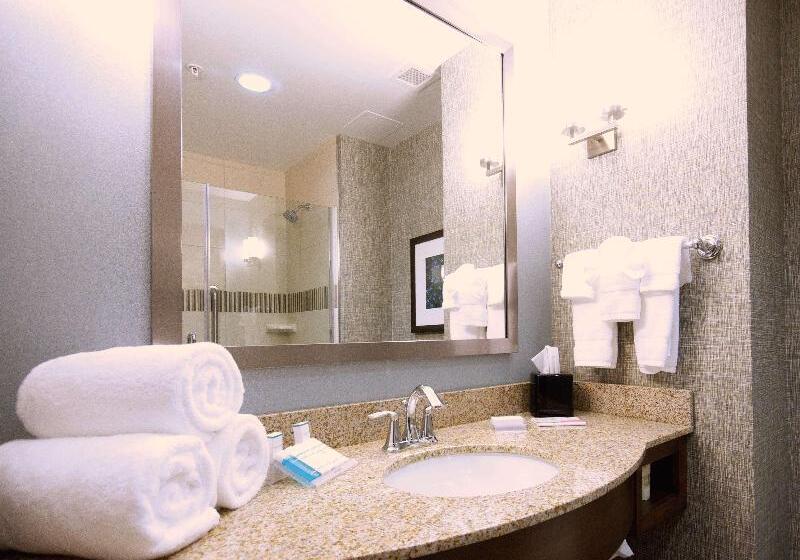 Люкс Адаптированный для Инвалидов, Sleep Inn & Suites Ft. Lauderdale International Airport