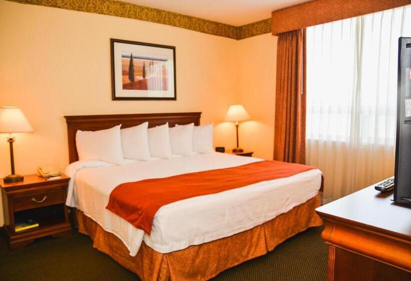 身障者適用キングサイズベッドルーム, Country Inn & Suites By Radisson, London South, On