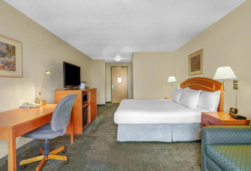 キングサイズベッドのスタンダードルーム, Days Inn By Wyndham Red Deer