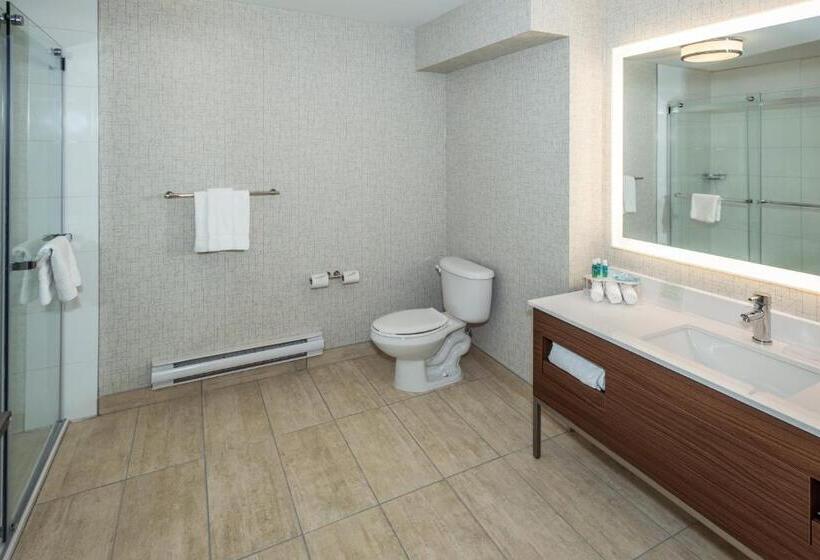 سوئیت با تخت بزرگ, Holiday Inn Express & Suites Medicine Hat, An Ihg