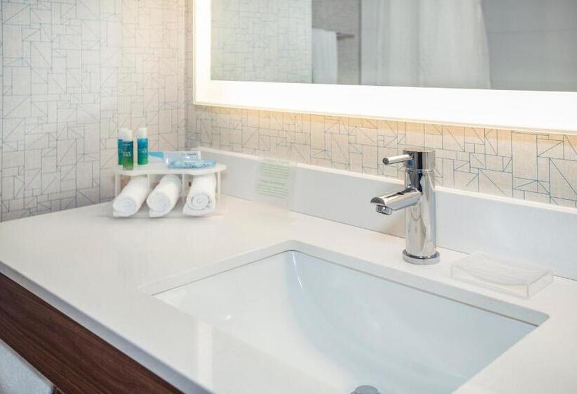 اتاق استاندارد با تخت بزرگ, Holiday Inn Express & Suites Medicine Hat, An Ihg