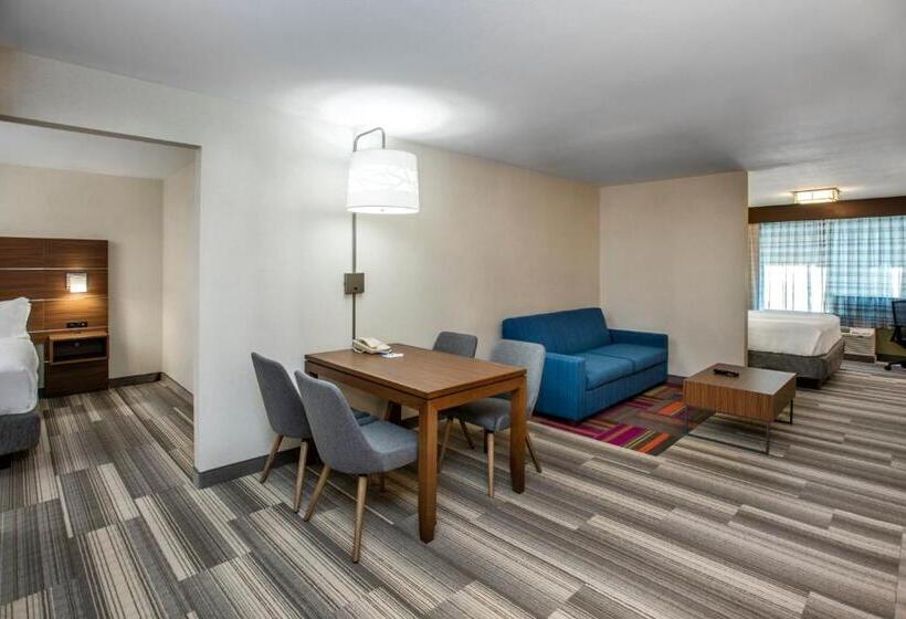 سوئیت با تخت بزرگ, Holiday Inn Express & Suites Medicine Hat, An Ihg