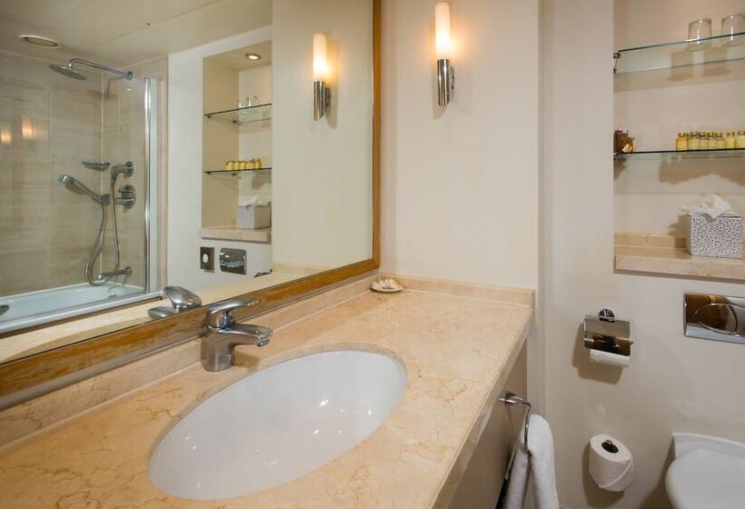 Camera Deluxe, The Park City Grand Plaza Kensington
