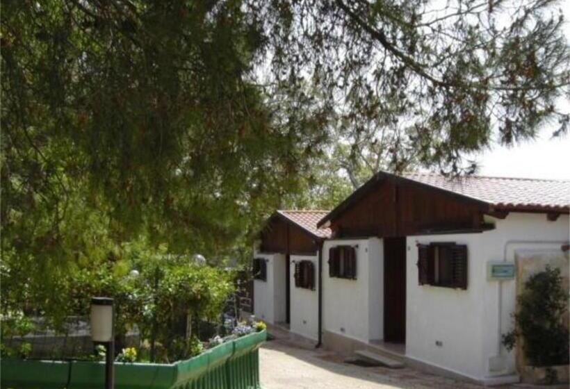 اتاق استاندارد یک نفره, Holiday Residence