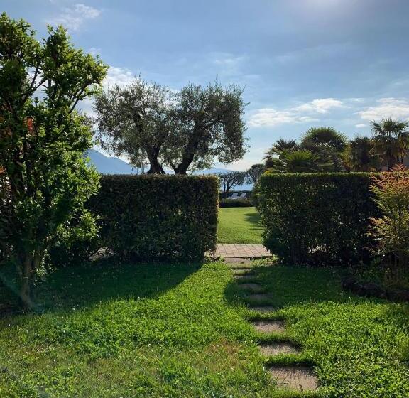 Quarto Estandar Vista Jardim, Ulivi