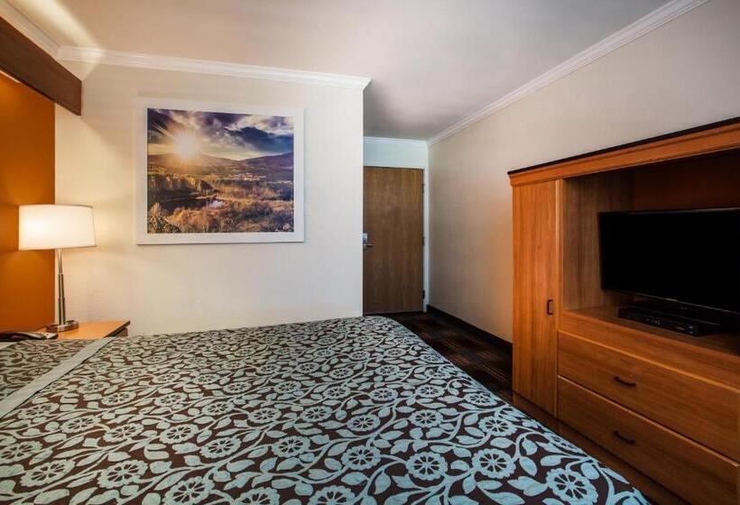 Pokój Typu Standard Przystosowany dla Osób Niepełnosprawnych, Days Inn & Suites By Wyndham Antioch