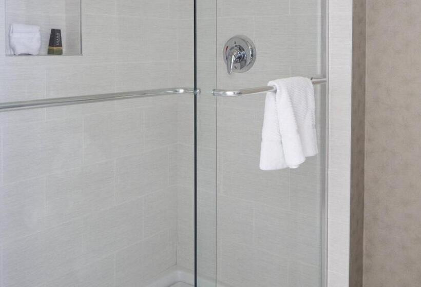 Номер Стандарт Адаптированный для Инвалидов, Hartford Marriott Downtown