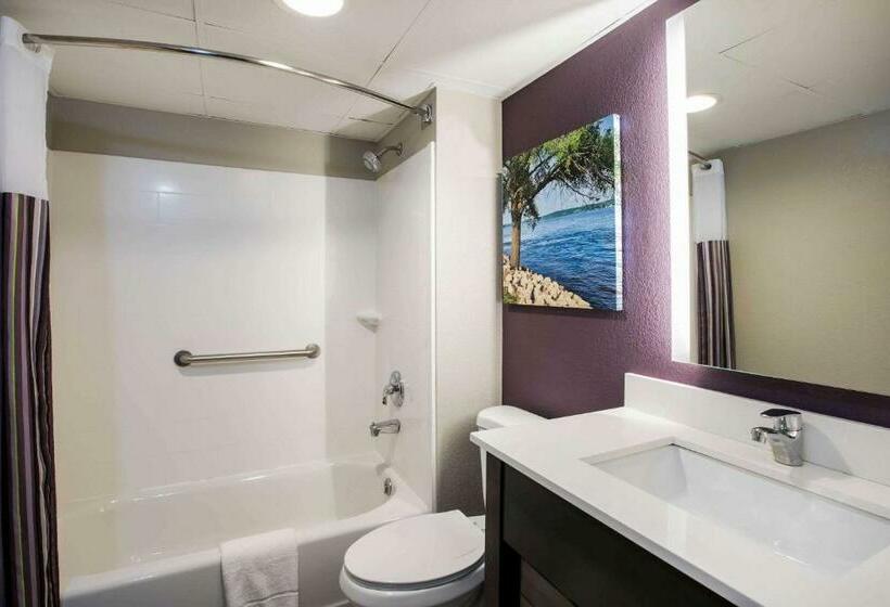 스탠다드 룸 킹사이즈 침대, La Quinta Inn By Wyndham Davenport & Conference Center