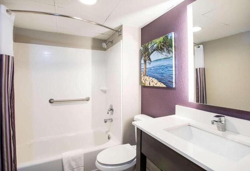 اتاق لوکس با تخت بزرگ, La Quinta Inn By Wyndham Davenport & Conference Center