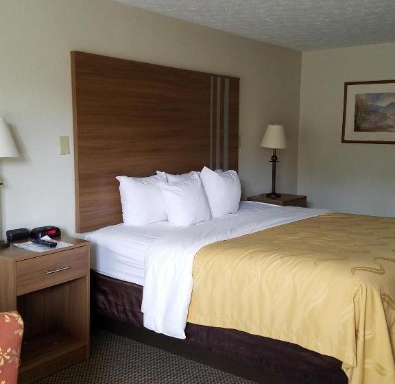 스탠다드 룸 킹사이즈 침대, Quality Inn New River Gorge