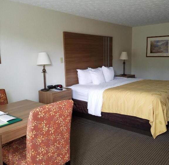장애인을 위한 킹사이즈 침대 스탠다드 룸, Quality Inn New River Gorge