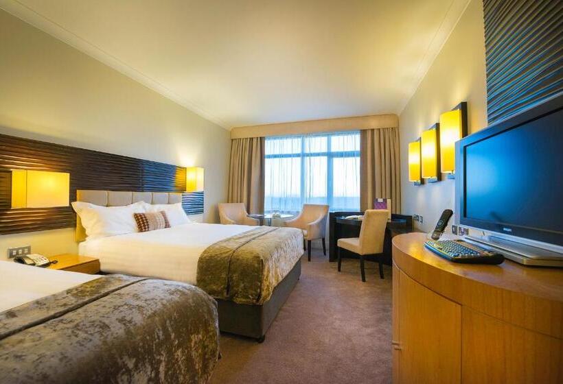 스탠다드 룸, Cork International