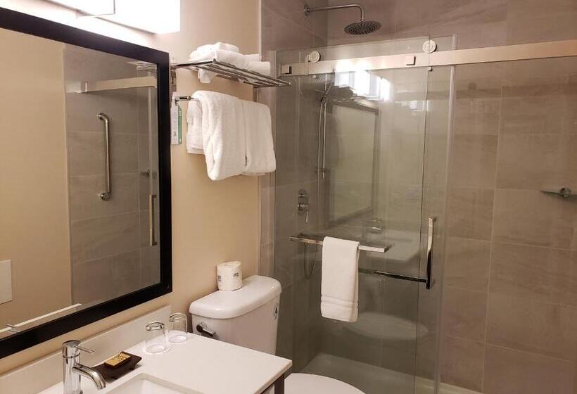 标准工作室, Sun Peaks Lodge