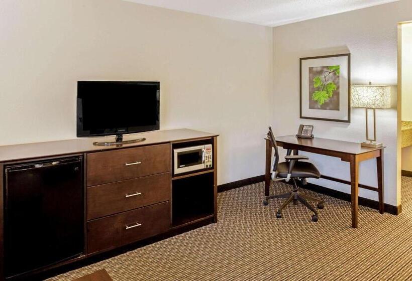 스탠다드 룸 킹사이즈 침대, La Quinta By Wyndham Milwaukee Delafield