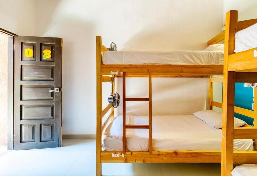Säng i Delat Rum, Gagaka Rua Hostel