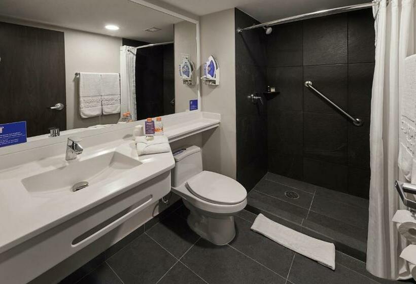 Quarto Estandar, City Express By Marriott Monterrey Universidad