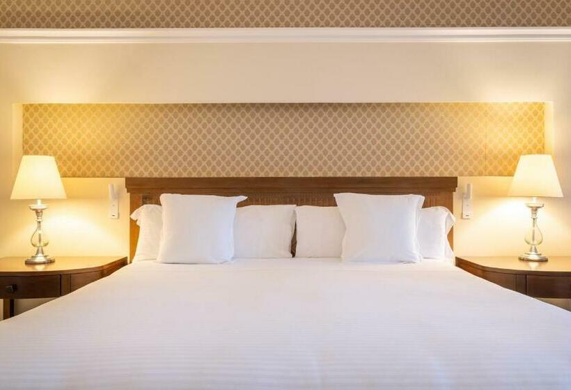 Quarto Estandar, JOIA Paraíso by Iberostar - Adults Only