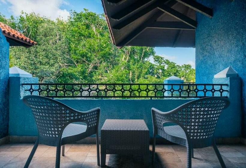 小型套房, Iberostar Waves Paraíso Beach