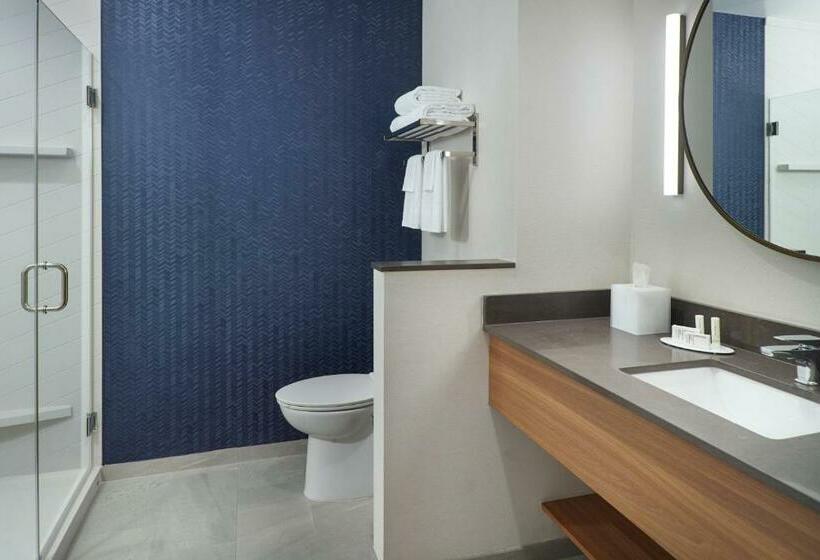 キングサイズベッドのスタンダードルーム, Fairfield Inn & Suites By Marriott Athensuniversity Area