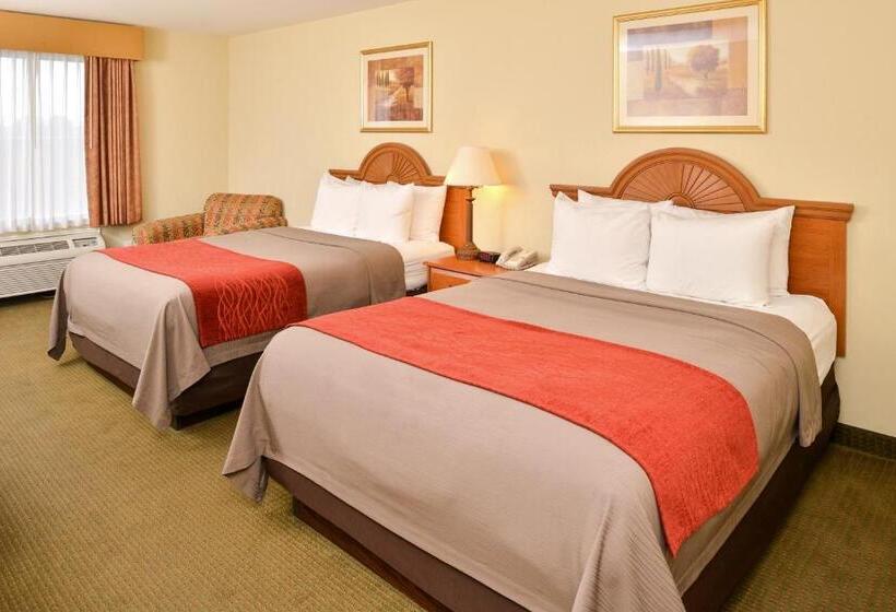 Quarto Estandar, Comfort Inn Marrero  New Orleans West