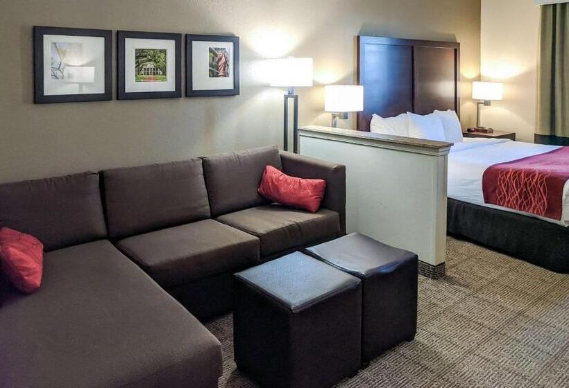 Люкс Кровать Кинг, Comfort Inn Marrero  New Orleans West