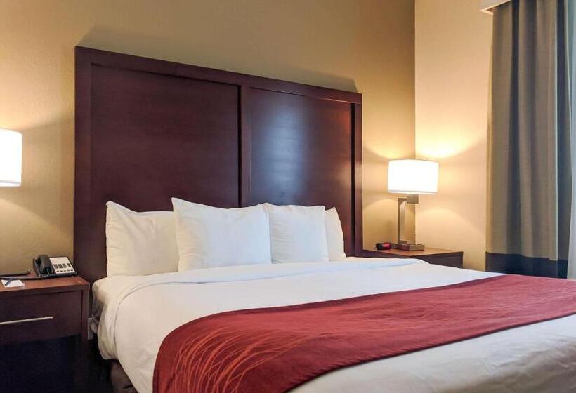 Suíte para Deficientes Físicos, Comfort Inn Marrero  New Orleans West