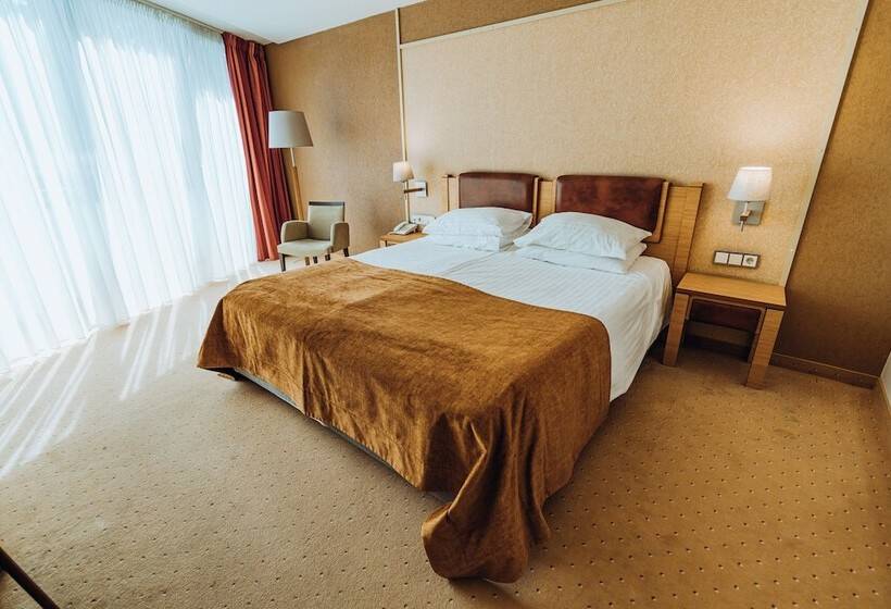 Quarto Standart com acesso ao Spa, Gabija Hotel Spa & Conferences