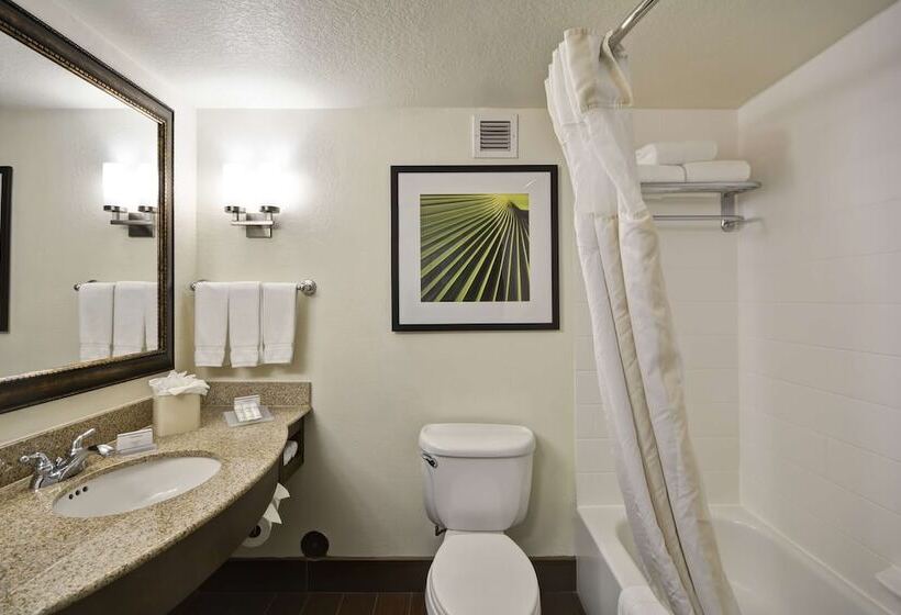 Номер Стандарт, Hilton Garden Inn Sarasotabradenton Airport