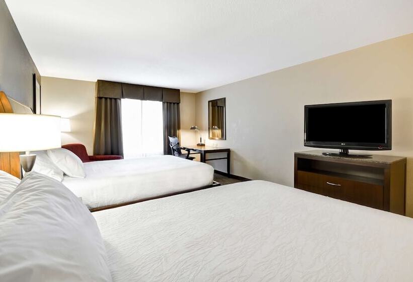 Номер Стандарт, Hilton Garden Inn Sarasotabradenton Airport