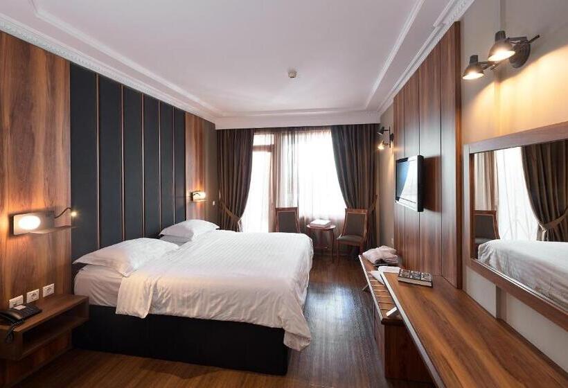 غرفة قياسية مطلة على الجبل, Royal Hotel Thessaloniki