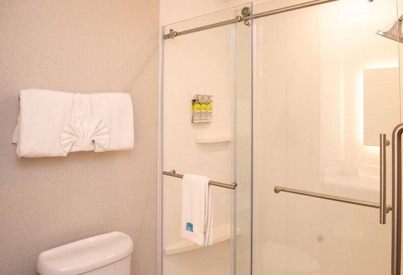 套房, Holiday Inn Express Hotel & Suites Chester, An Ihg