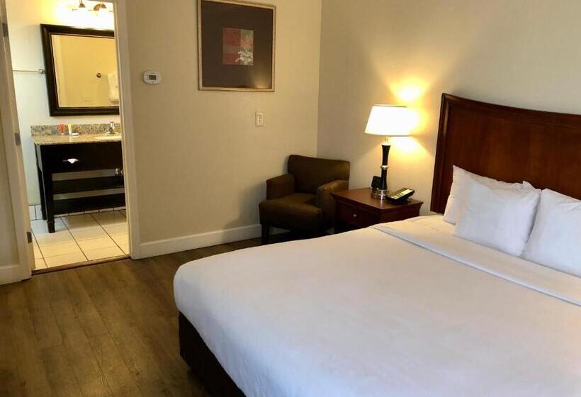 Quarto Estandar, Blu Pacific