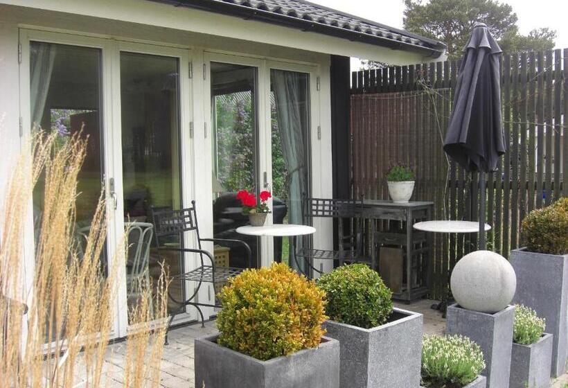 Студия Стандарт, ängshyddan B&b