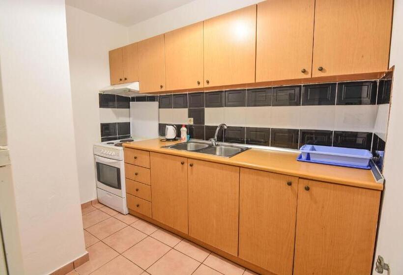 Апартаменты Superior 1 Спальня, Epavlis Apartments