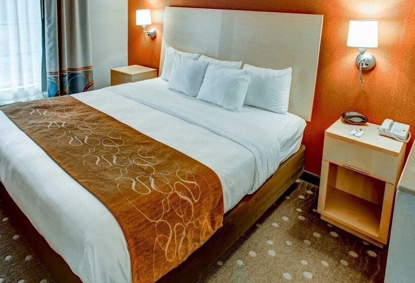 Люкс, Comfort Suites Pittsburgh Airport