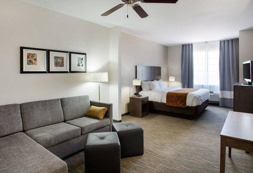 스위트, Comfort Suites San Angelo Near University