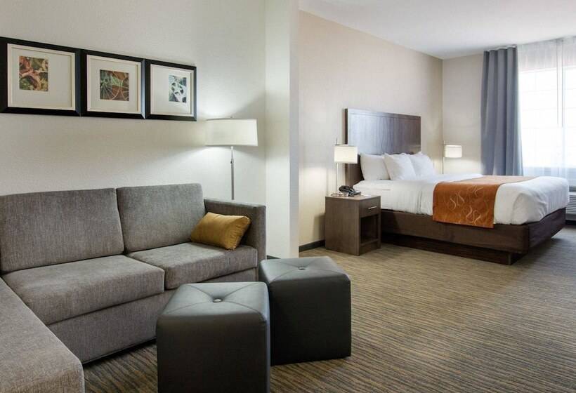 스위트, Comfort Suites San Angelo Near University