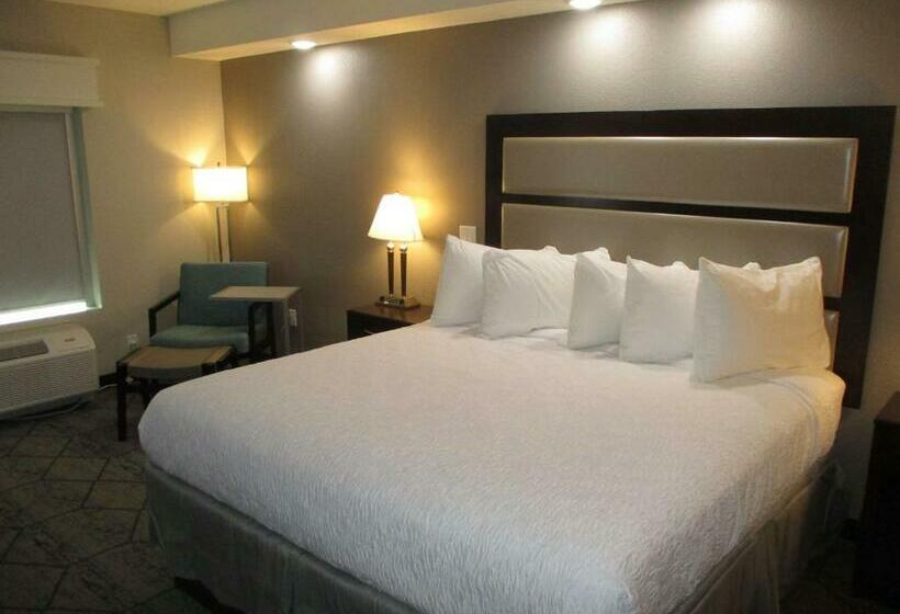适合残疾人士使用的带超级大床的标准间, Best Western Plus Mcpherson