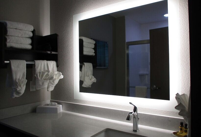 장애인을 위한 스위트, Best Western Plus Mcpherson