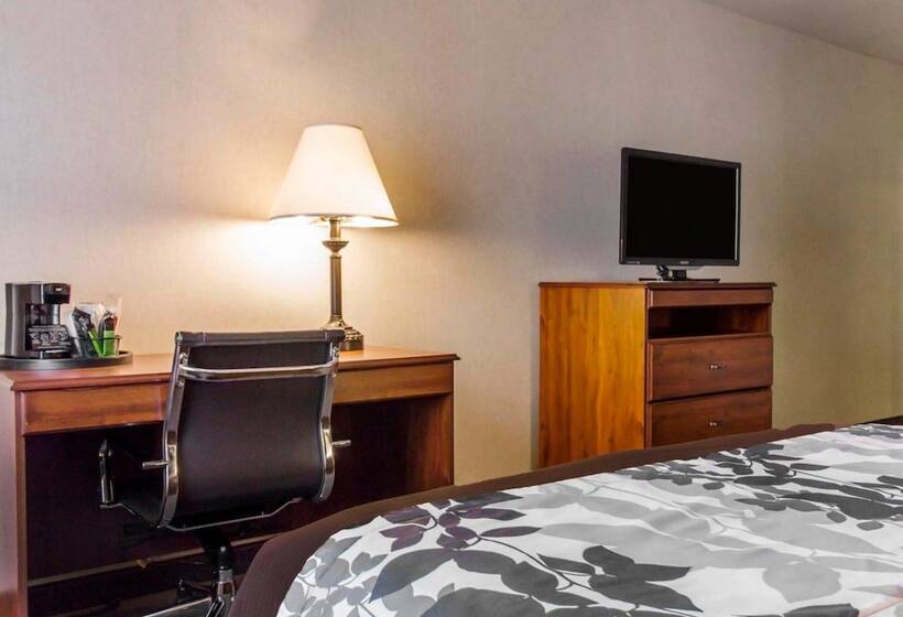 Номер Стандарт 2 Двуспальные Кровати, Sleep Inn & Suites