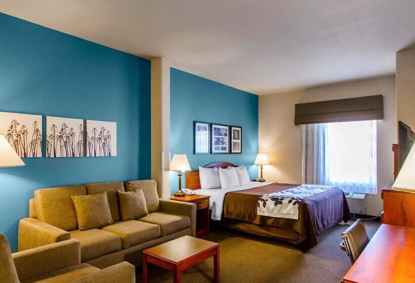 Люкс Адаптированный для Инвалидов, Sleep Inn & Suites