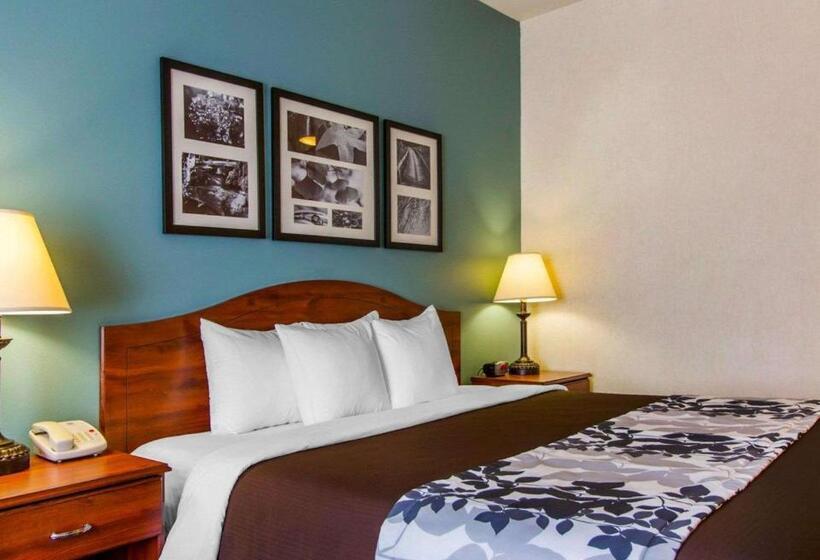 Стандартный Номер Кровать Кинг, Sleep Inn & Suites