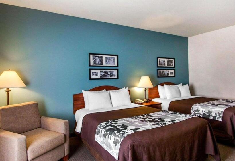 Номер Стандарт 2 Двуспальные Кровати, Sleep Inn & Suites