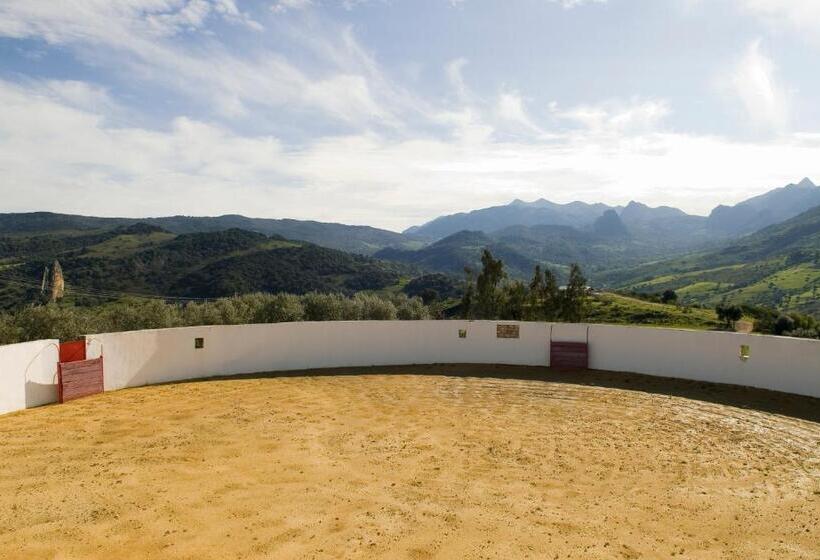 スタンダードトリプルルーム, Cortijo Salinas
