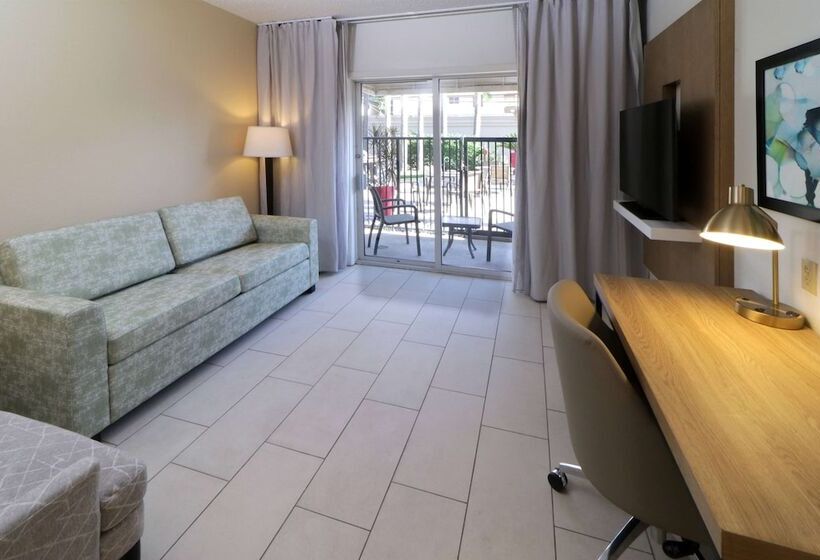 套房, Wyndham Garden Mcallen At La Plaza Mall