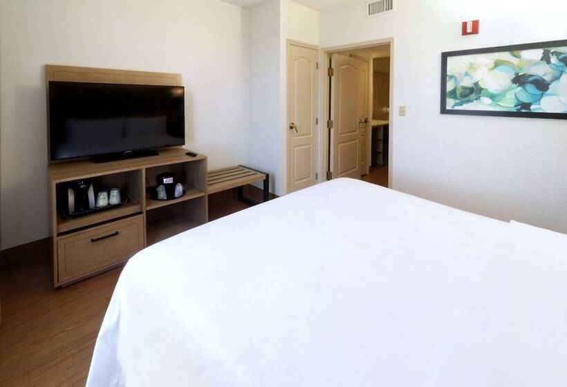 套房, Wyndham Garden Mcallen At La Plaza Mall