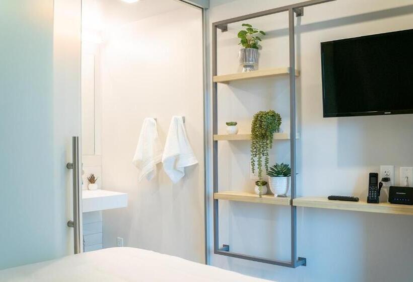 اتاق سوپریور, Sova Microroom & Social